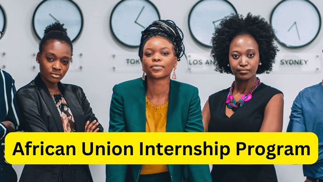 African Union Internship