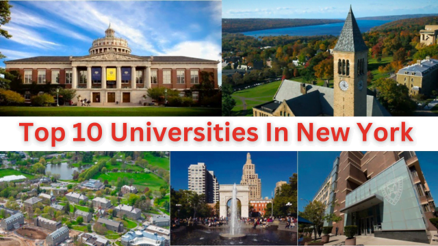 Top 10 Universities In New York