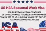 US H2A Seasonal Work Visa August 2024