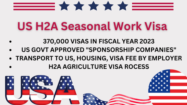 US H2A Seasonal Work Visa August 2024